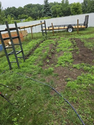 20240622_104329.jpg 20240622_104329.jpg