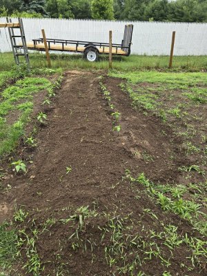 20240622_111942.jpg 20240622_111942.jpg