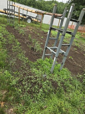 20240622_155157.jpg 20240622_155157.jpg