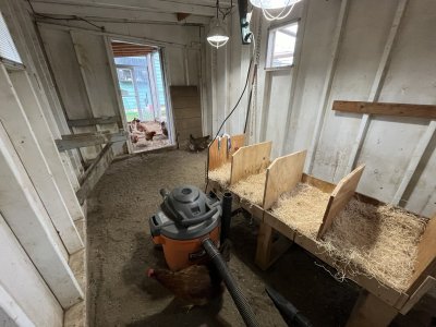 IMG_6006.jpeg IMG_6006.jpeg