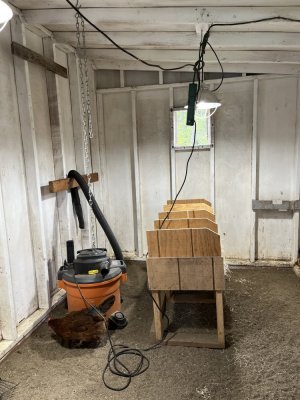 IMG_6008.jpeg IMG_6008.jpeg