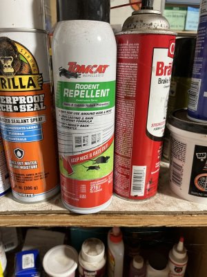 IMG_6016.jpeg IMG_6016.jpeg