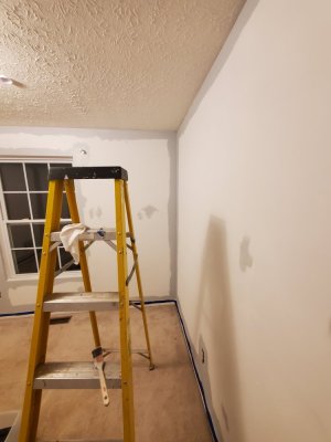 20241130_194118.jpg