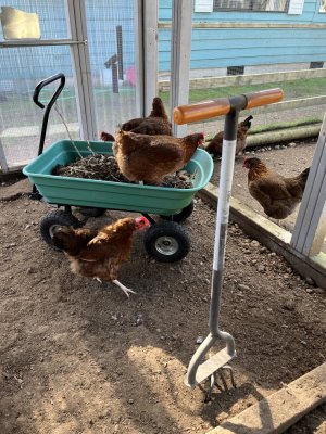 IMG_6935.jpeg IMG_6935.jpeg