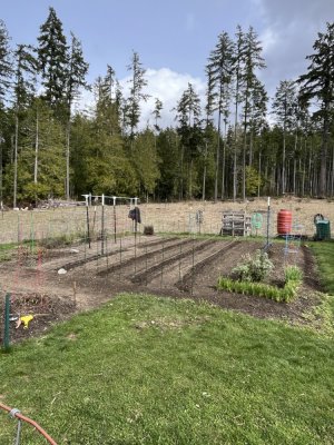 IMG_7055.jpeg IMG_7055.jpeg