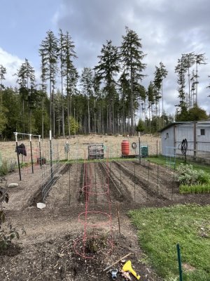 IMG_7056.jpeg IMG_7056.jpeg