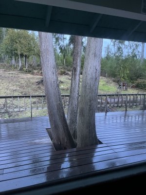 IMG_7057.jpeg