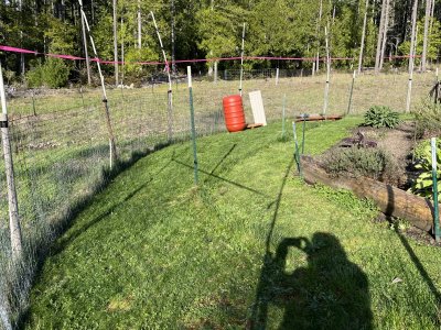 IMG_7272.jpeg IMG_7272.jpeg