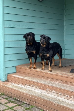 image_67179265.JPG image_67179265.JPG