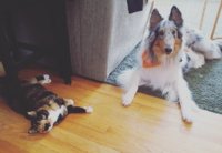 IMG_20161222_103731.jpg IMG_20161222_103731.jpg