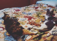 IMG_20161225_100619.jpg IMG_20161225_100619.jpg