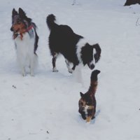 IMG_20161225_212433.jpg IMG_20161225_212433.jpg