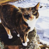 IMG_20170305_174439_716.jpg IMG_20170305_174439_716.jpg