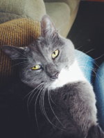 2015-11-22 12.21.45 1.jpg 2015-11-22 12.21.45 1.jpg