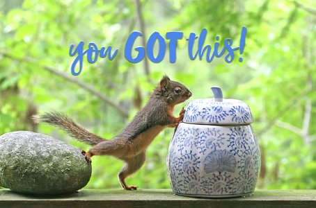 motivational-squirrel-you-got-this-peggy-collins.jpg