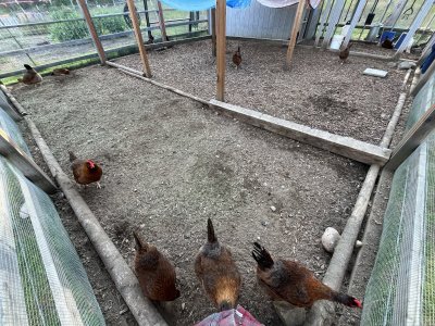 IMG_7854.jpeg IMG_7854.jpeg