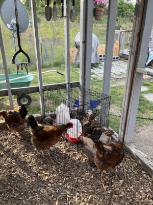 IMG_7858.jpeg IMG_7858.jpeg