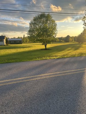 IMG_7620.jpeg
