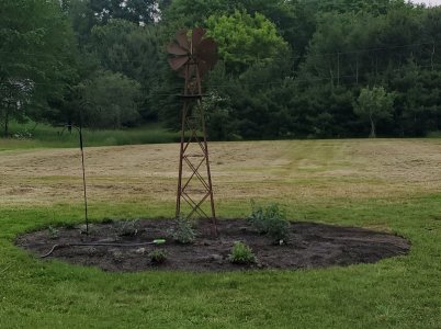 20250608_064741.jpg