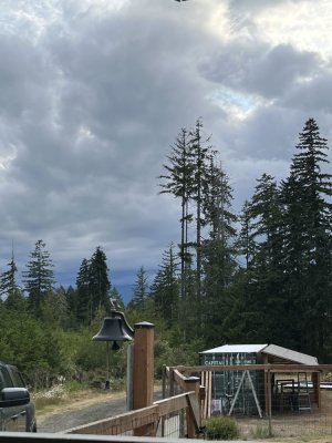IMG_8029.jpeg