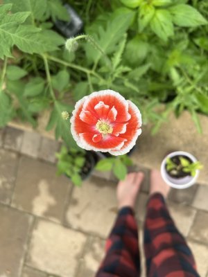 IMG_9342.jpeg