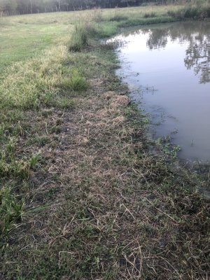 IMG_7128.jpeg