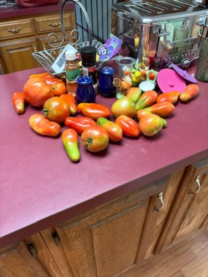 IMG_4656.jpeg
