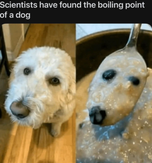 1000012975.png