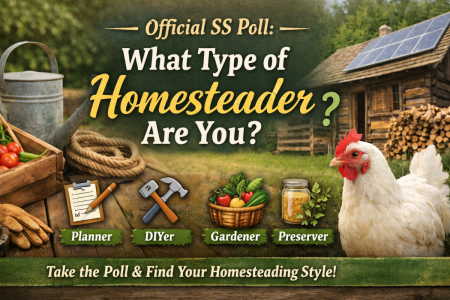 Image Feb 27, 2026, 12_17_03 PM.png