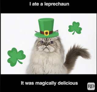 St Pats cat.png
