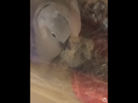 IMG_3546.PNG IMG_3546.PNG
