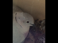 IMG_3548.PNG IMG_3548.PNG