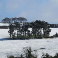 IMG_1434.jpg