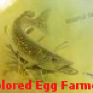 Colored Egg Farmer