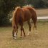 AL
