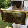 BlackgardenerNJ